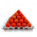 Orange Mixed Model Golf Balls (Pack of 36) (Refurbished)