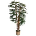 Type Gum to get help Laura Ashley 5-foot Realistic Palm Tree with Wicker Basket Planter