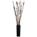 Laura Ashley LED Lighted Willow Branch Arrangement