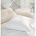 Latex Foam Pillow with Removable Zip Cover