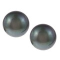 14k White Gold Black Tahitian Pearl Stud Earrings (13-14 mm)