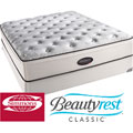 Simmons Beautyrest Classic Reece Plush Firm Euro Top Queen-size Mattress Set