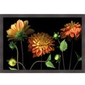 Pip Bloomfield 'Orange Dahlia Garden' Framed Print Art