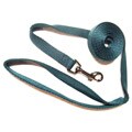 Hamilton 6-foot Teal Single Nylon Leash