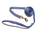 Hamilton 6-foot Blueberry Single Nylon Leash