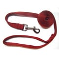 Hamilton Red .75-inch 6-foot Single Nylon Leash
