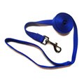 Hamilton Blue .75-inch 6-foot Single Nylon Leash