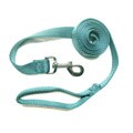 Hamilton Teal 4-foot Single Nylon Leash