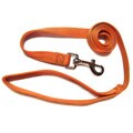 Hamilton Mango .75-inch 4-foot Single Nylon Leash