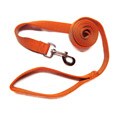 Hamilton Mango 1-inch 6-foot Single Nylon Leash
