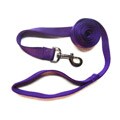 Hamilton Purple 1-inch 6-foot Single Nylon Leash