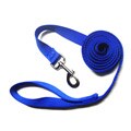 Hamilton Blue 1-inch 6-foot Single Nylon Leash