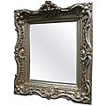 Rectangular Traditional Champagne Pewter Framed Mirror