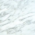 Arabescato Carrara 12x12-inch Marble Tiles (Pack of 5)