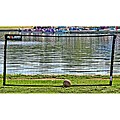 Rolbak 10-foot Guard Net
