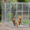Lucky Dog 6x10-foot Galvanized Welded Wire Kennel