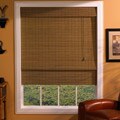 Maya Moss Roman Shade (35 in. x 72 in.)