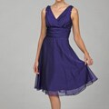 Patra Women's Purple Chiffon Dress