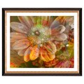 Zhee Singer Studios 'Glory Daisy Flower' Giclee Frame Matted Print Art
