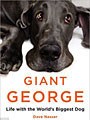 Giant George (Paperback)