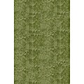 Handmade Posh Shag Apple Green Rug (3' x 5')