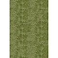 Hand-Tufted Posh Apple Green Shag Rug (2' x 3')