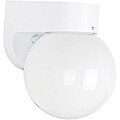 One Light Poly Wall Fixture