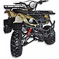Trailrover Camo 250cc Manual Transmission ATV