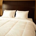 Eddie Bauer 600 Fill Power White Goose Down Comforter