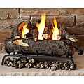 Real Flame Convert-To-Gel Log Set