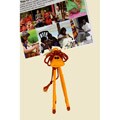 Yarn Lion Picture Holder (Colombia)