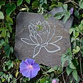 Volcanic Slate Lotus Symbol Engraved Stone (Indonesia)