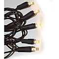 Good Tidings 21007 Light Set LED Nub 60 Warm White Brown Wire 4x4x4