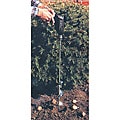 Jisco Bulb Planter 2-3/4"x24"
