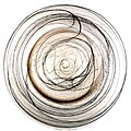 ARDA GLASS Allure Alabaster Black/Smoke Set of 4 Charger Plates