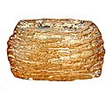 Arda Romos Amber/Silverplate Small Rectangle Plates Set of 4