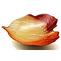 Palm Large Leaf Bowl by Arda