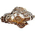 Arda Glassware Oyster Amber/Silver Plated Dish (Medium)