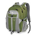 High Sierra Allegiant Amazon/Ash Laptop Backpack