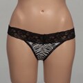 Rene Rofe Women's Animal Explosion Panties (Set of 4)