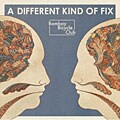 Bombay Bicycle Club - A  Different Kind of Fix