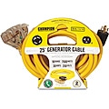 Champion 25-foot Generator Power Cord