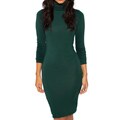 American Apparel Women's Forest Cotton Spandex Jersey Turtleneck Dress