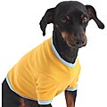 American Apparel Gold/Baby Blue Baby Rib Dog Tee