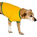 American Apparel Gold/Kelly Green Baby Rib Dog Tee