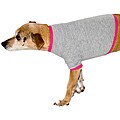 American Apparel Heather Grey/Fuchsia Baby Rib Dog Tee