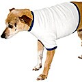 American Apparel White/ NavyBaby Rib Dog Tee
