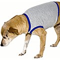 American Apparel Heather Grey/ Royal Blue California Fleece Dog Vest