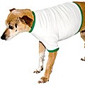American Apparel White/Kelly Green Baby Rib Dog Tee