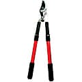 Corona Extendable Handle Compound Bypass Lopper
